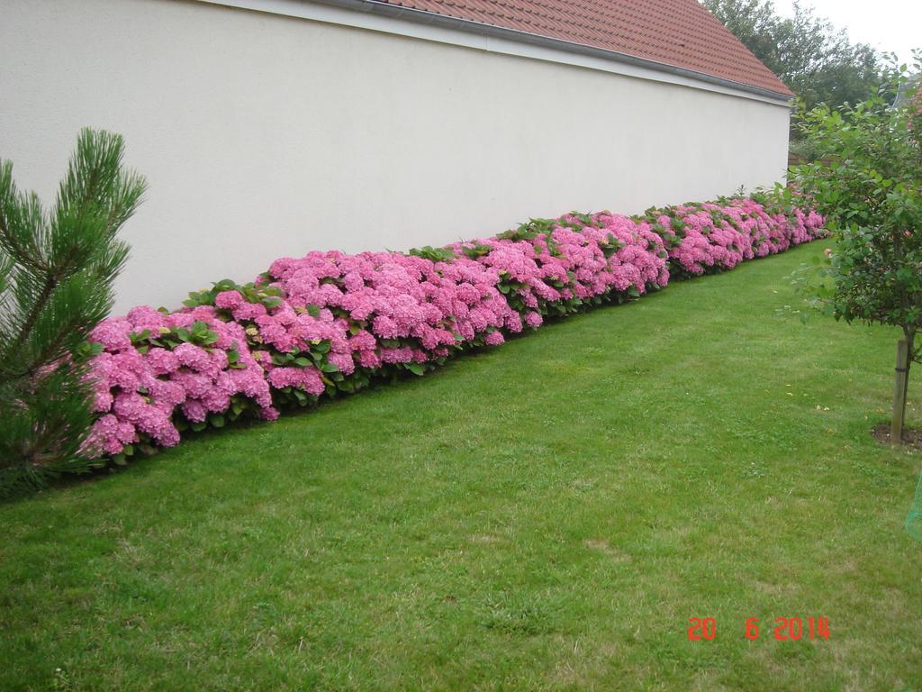 Berck Chambres D'Hotes La Villa Des Hortensias المظهر الخارجي الصورة