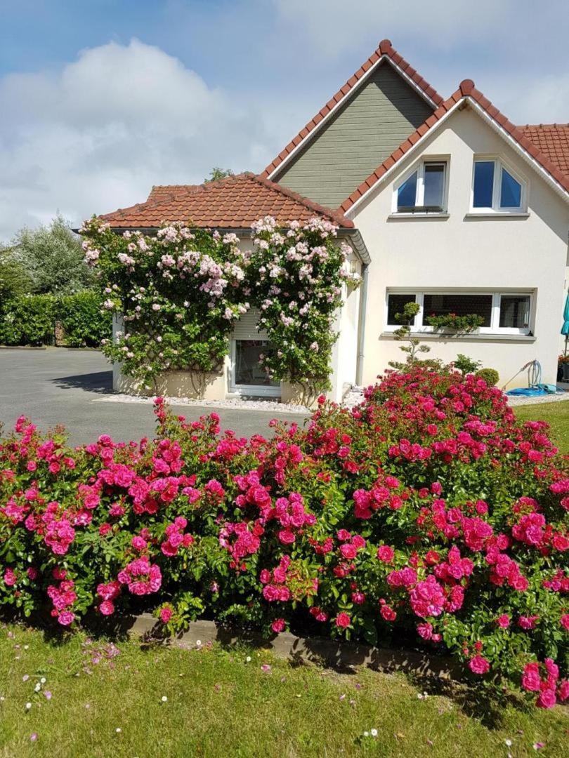 Berck Chambres D'Hotes La Villa Des Hortensias المظهر الخارجي الصورة